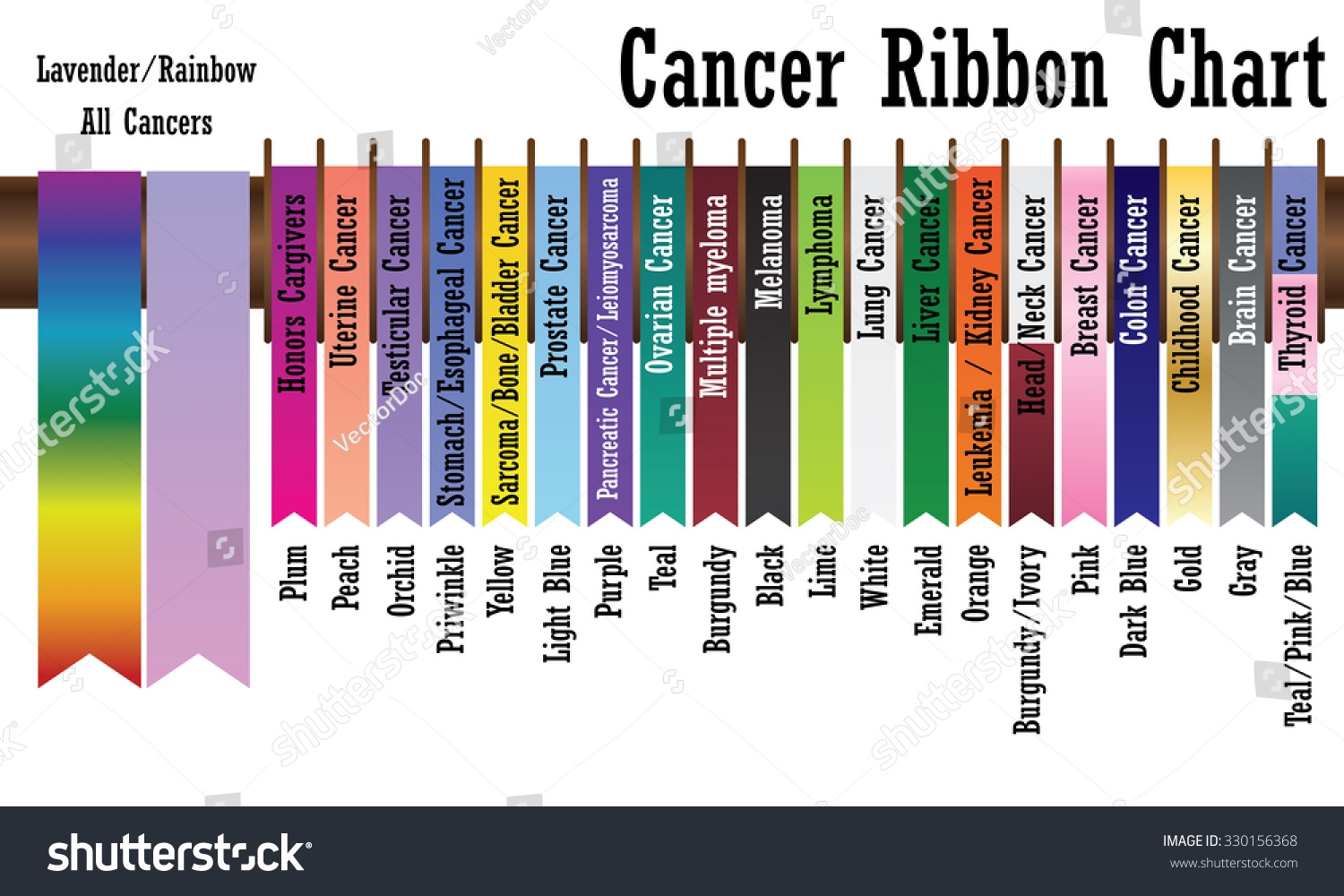 Cancer Ribbon Chart Stock Vector Royalty Free 330156368 Shutterstock