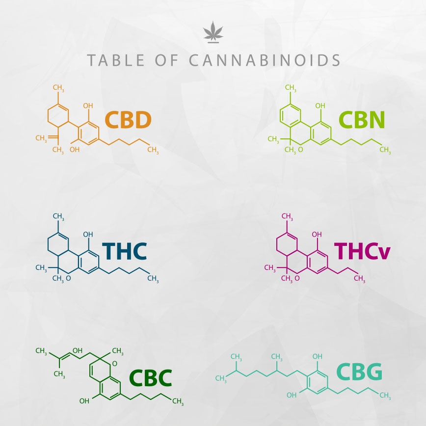 Cannabinoids 101 THC CBD Beyond A Beginner s Guide Cannabinoids 101 THC CBD Beyond A Beginner s Guide