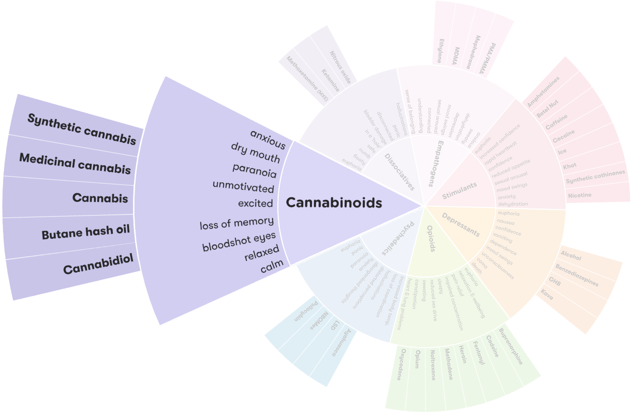 Cannabinoids Alcohol And Drug Foundation Cannabinoids Alcohol And Drug Foundation