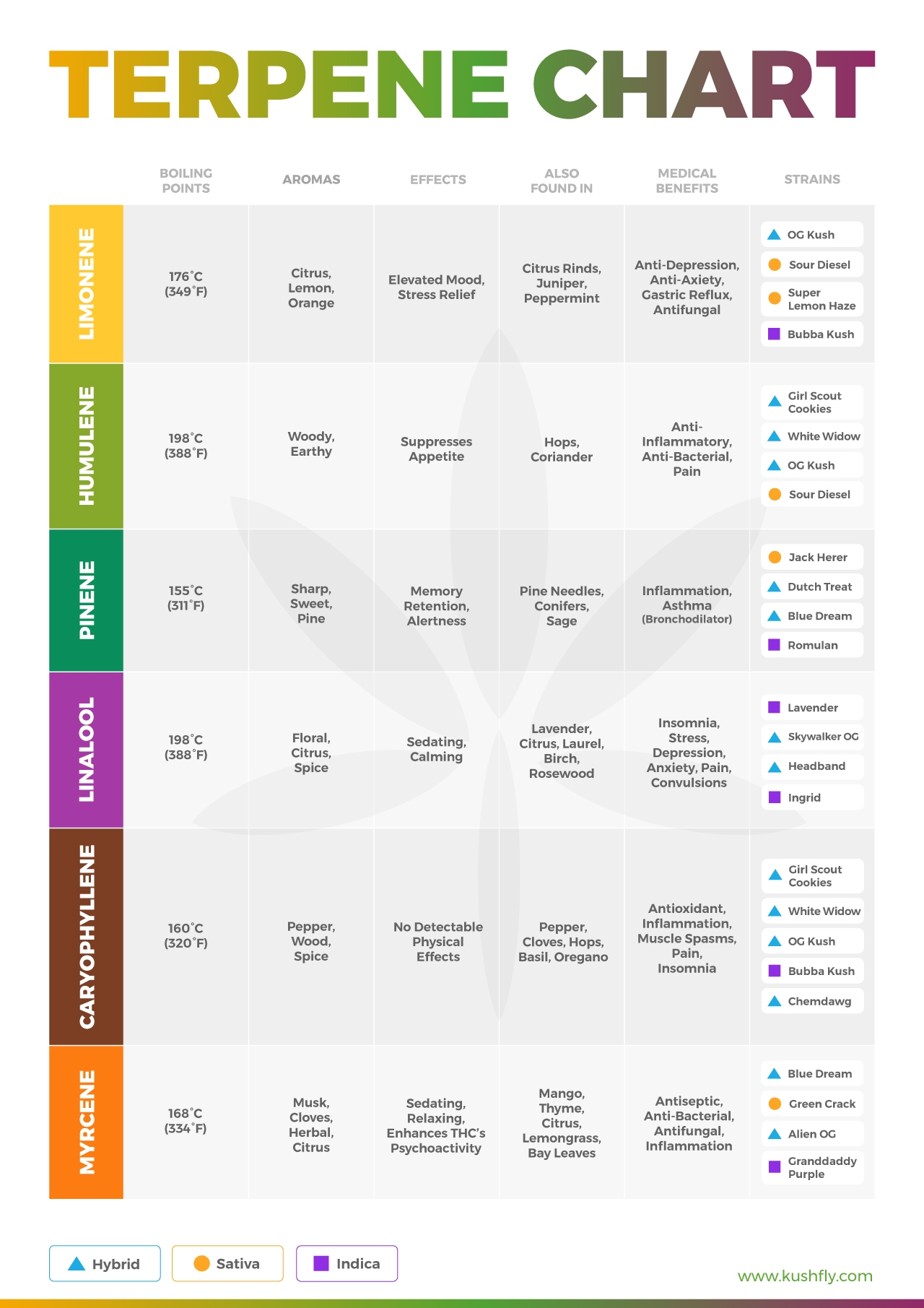 Cannabis Terpenes Effects Guide Terpene Chart Kushfly