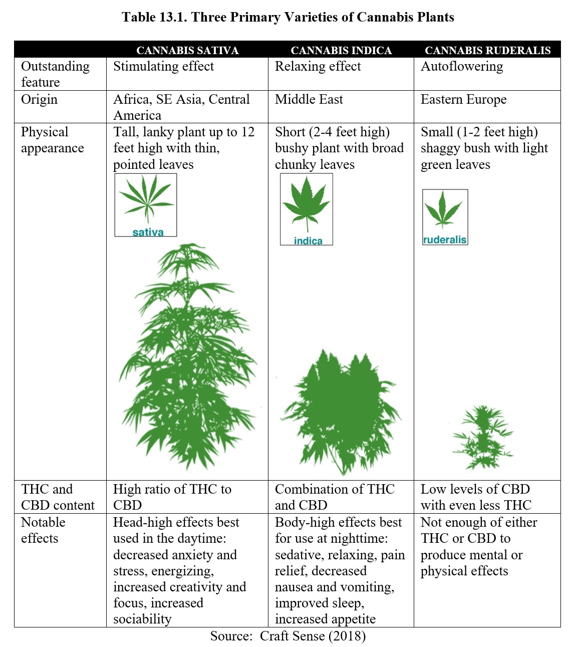 Chapter 13 Cannabinoids Drugs And Behavior Chapter 13 Cannabinoids Drugs And Behavior