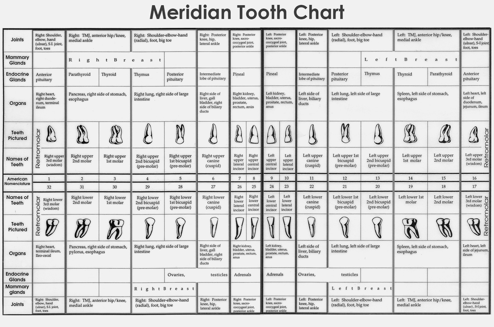 Chart Dr Robert Rousseau DDS PC Chart Dr Robert Rousseau DDS PC