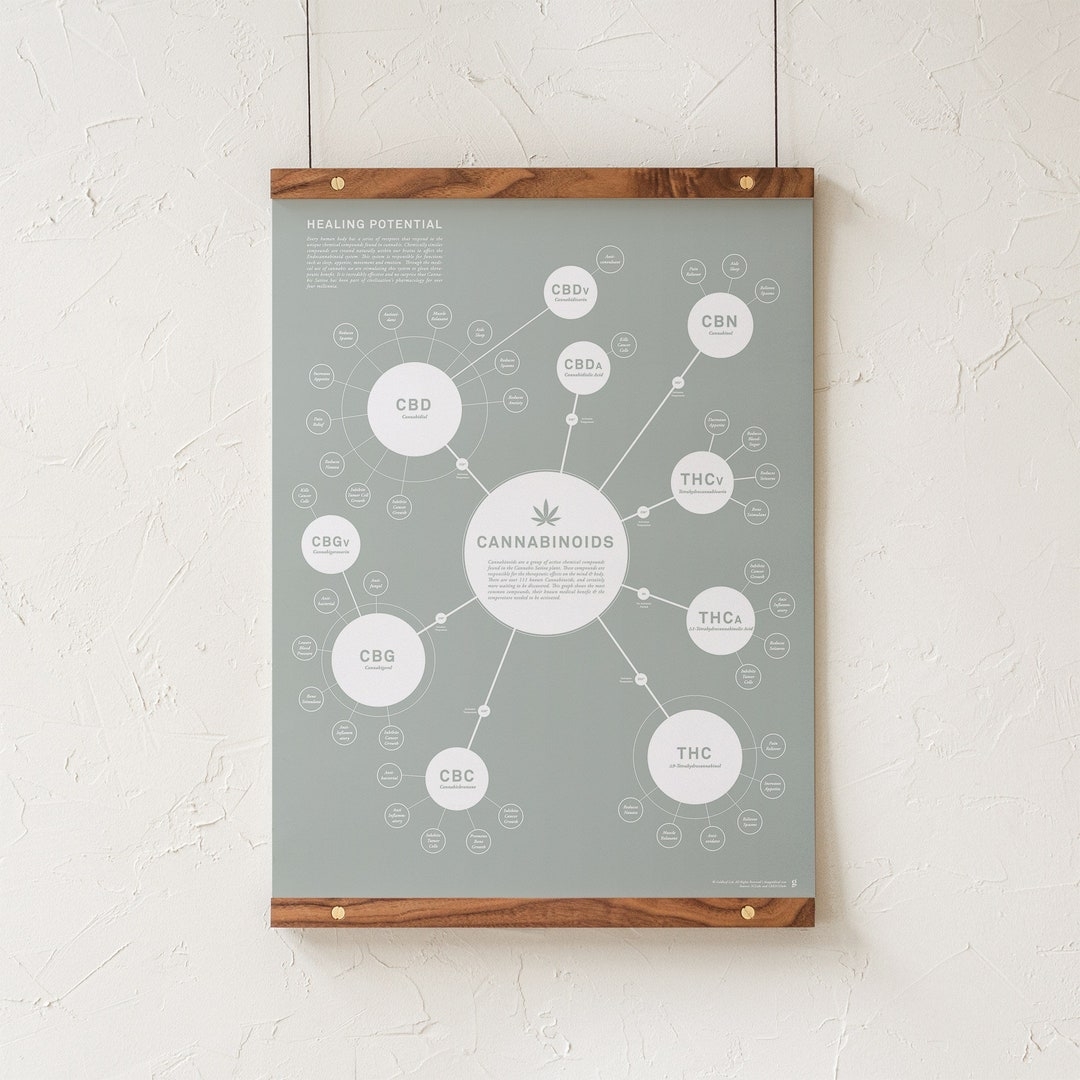 Chart Of Cannabinoids Print Cannabinoid Effects Infographic Poster Medical Marijuana Art Print Educational Poster By Goldleaf Etsy Chart Of Cannabinoids Print Cannabinoid Effects Infographic Poster Medical Marijuana Art Print Educational Poster By Goldleaf Etsy