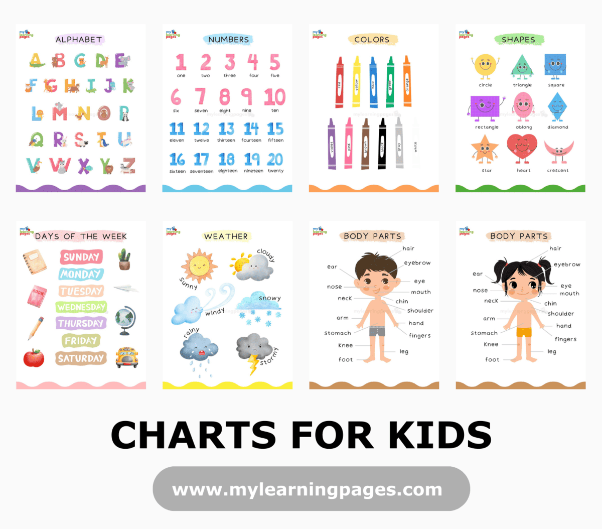 CHARTS FOR KIDS My Learning Pages