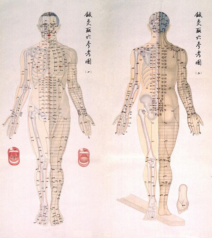 Chinese Chart Of Acupuncture Points 1 Photograph By Everett Fine Art America