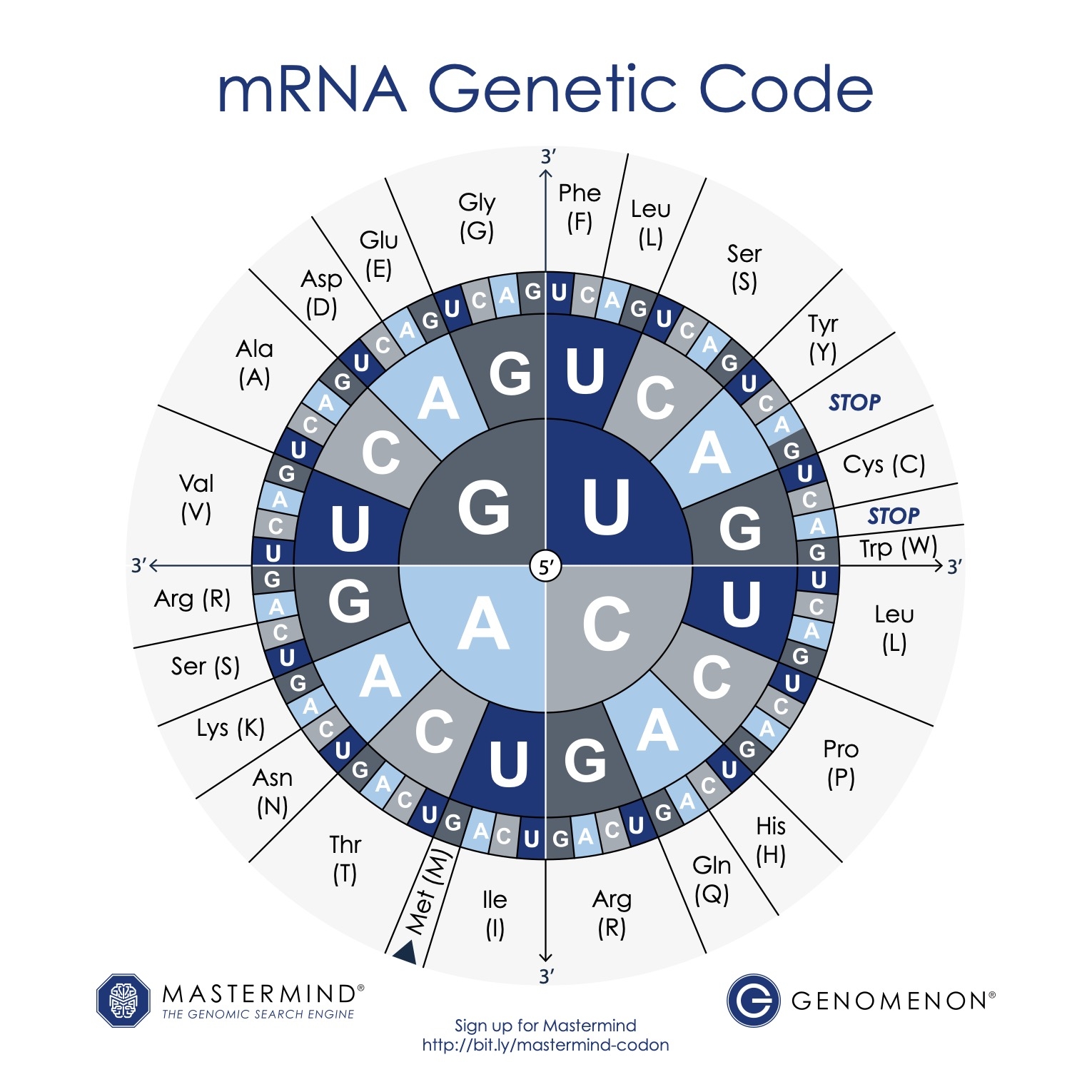 Codon Chart post form Codon Chart post form