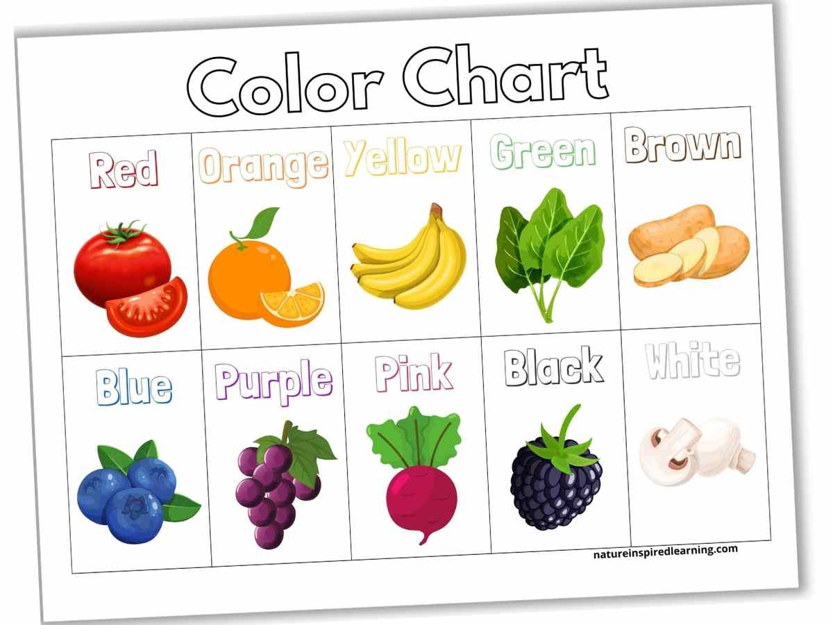 Color Charts Plus Activity Ideas Nature Inspired Learning