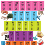 Colorful Word Families Chart TCR7112 Teacher Created Resources