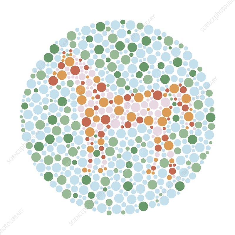 Colour Blindness Test Chart Illustration Stock Image C049 7203 Science Photo Library