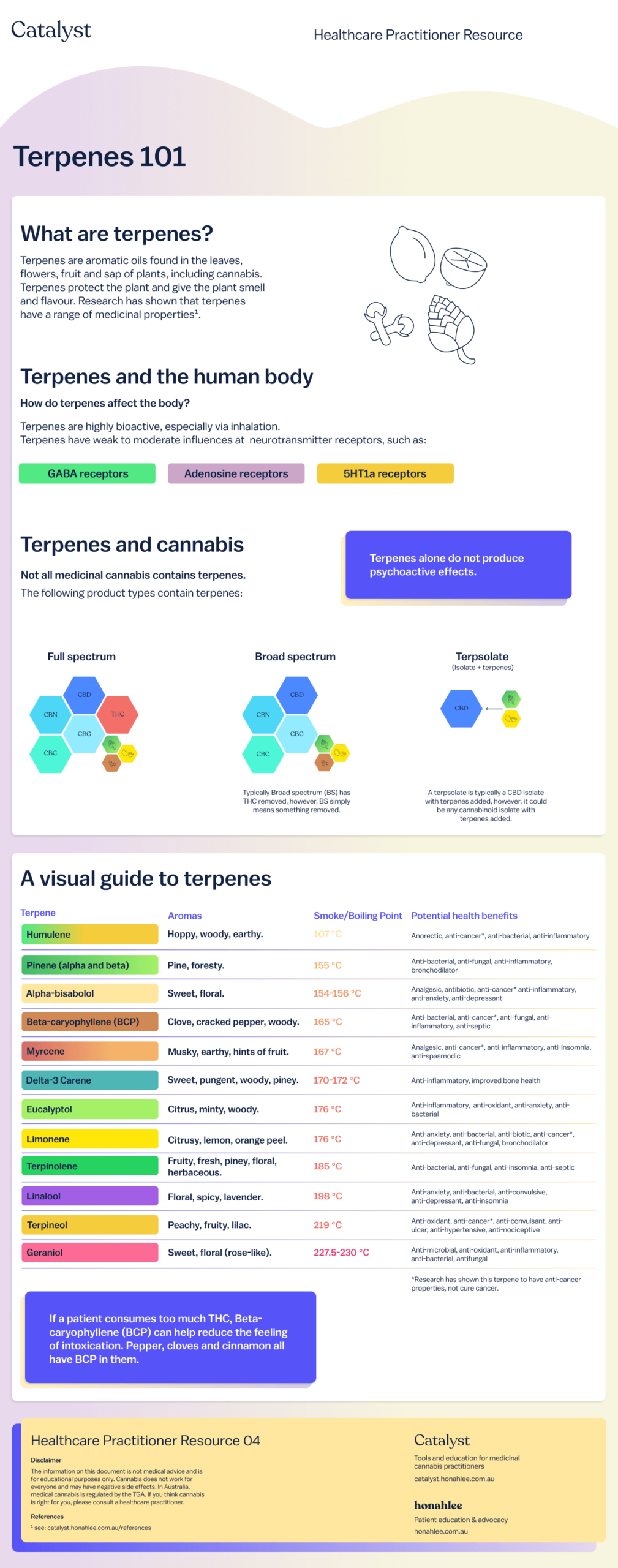 Common Terpenes In Cannabis Things Budtenders Should Know JESS HEN