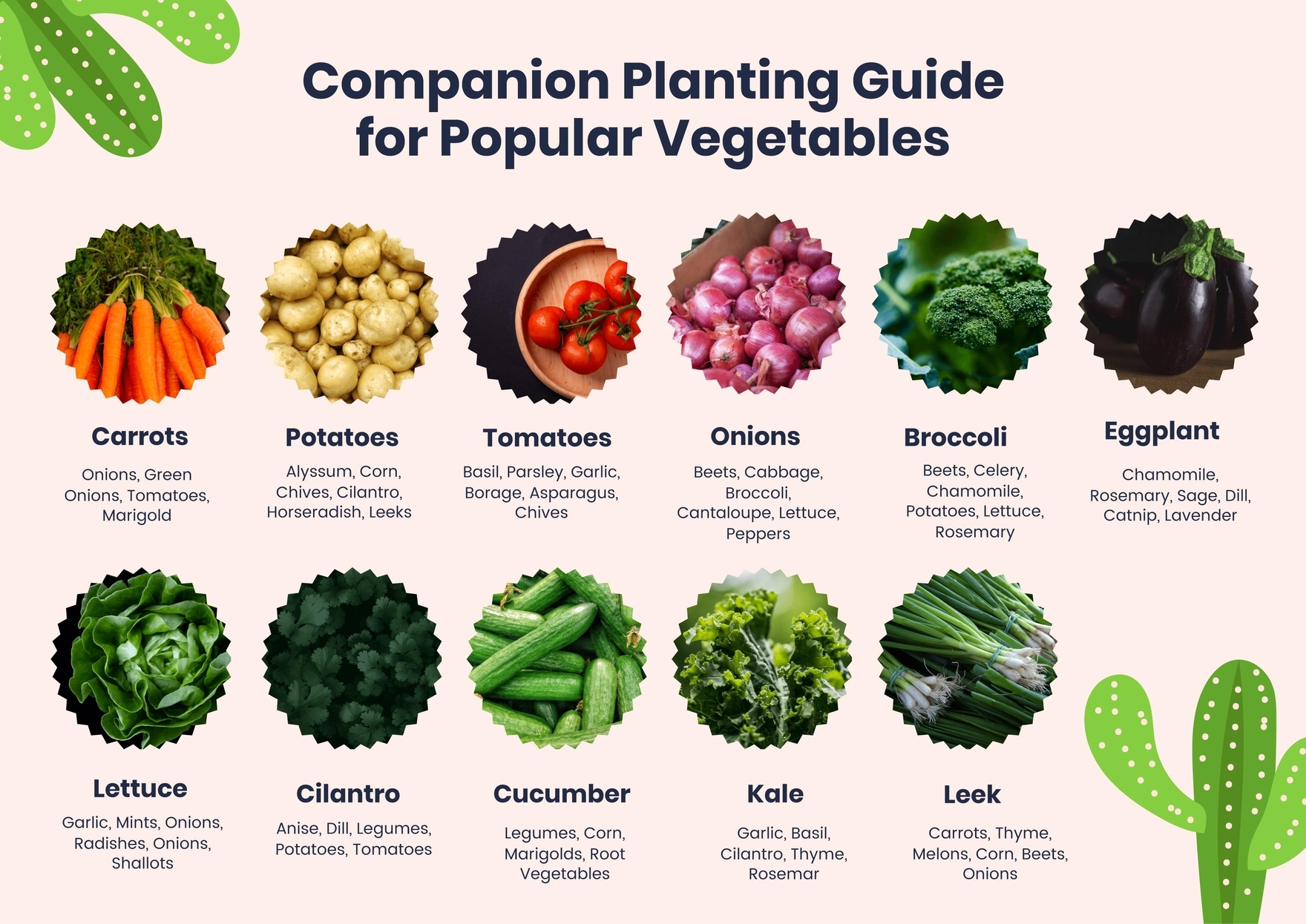 Printable Companion Plant Chart