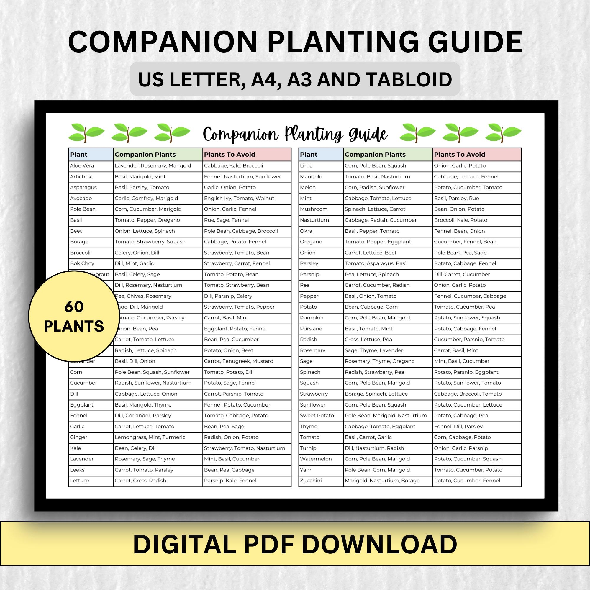 Companion Planting Guide US Garden Planner digital PDF Etsy