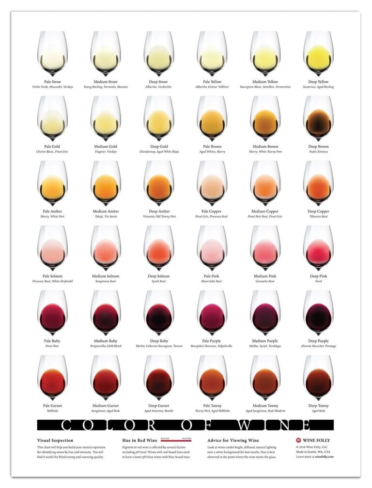 Complete Wine Color Chart Download Wine Folly
