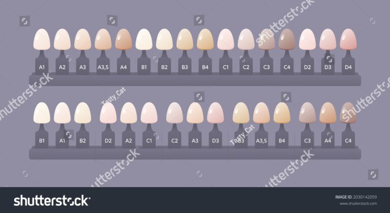 Dental Tooth Shade Guide Over 54 Royalty Free Licensable Stock Illustrations Drawings Shutterstock