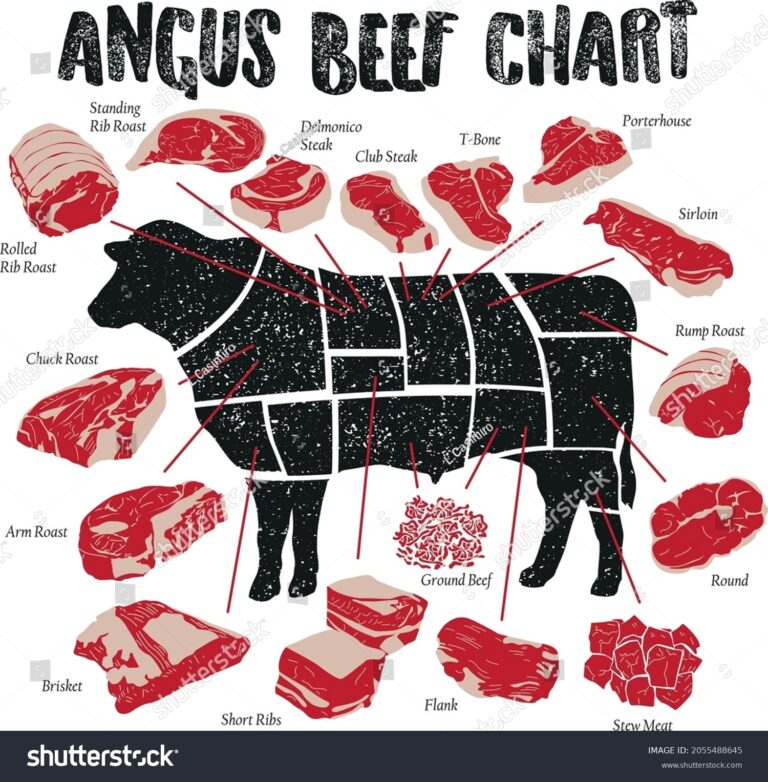 Detailled Angus Beef Chart Cuts Stock Vector Royalty Free 2055488645 Shutterstock