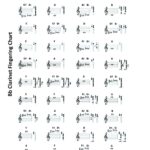 Digital B Flat Clarinet Fingering Chart For Beginners To Advanced Etsy Israel