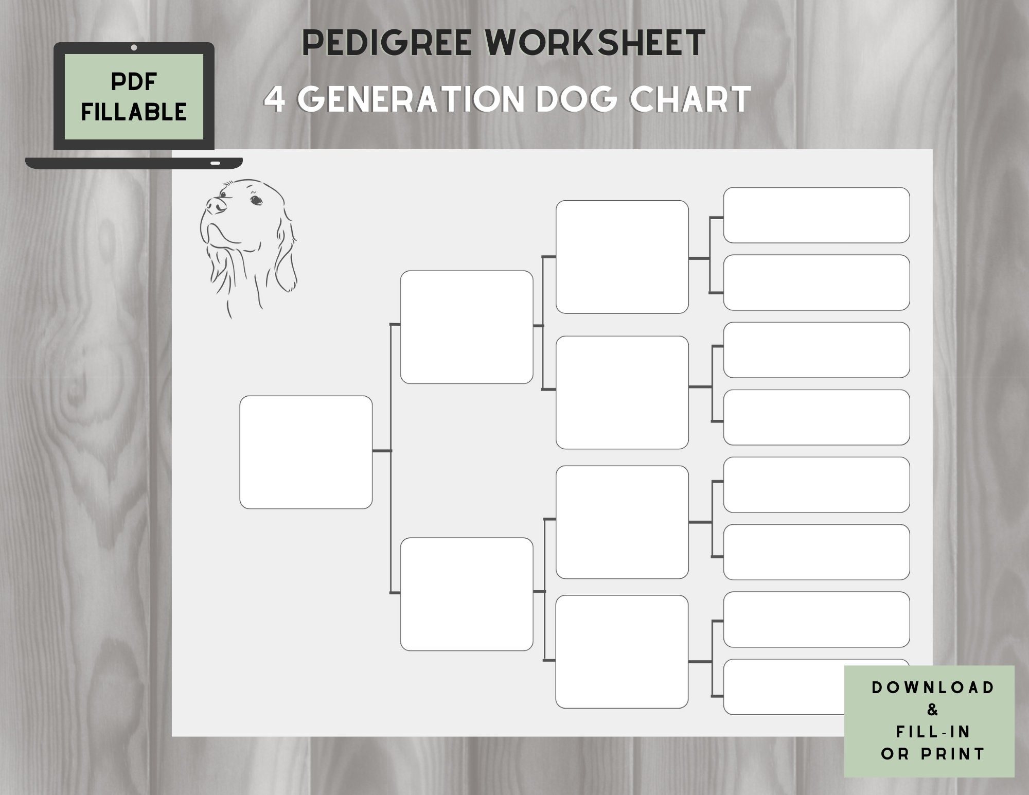 Dog Pedigree Chart 4 Generations On One Page Fillable PDF Etsy Dog Pedigree Chart 4 Generations On One Page Fillable PDF Etsy