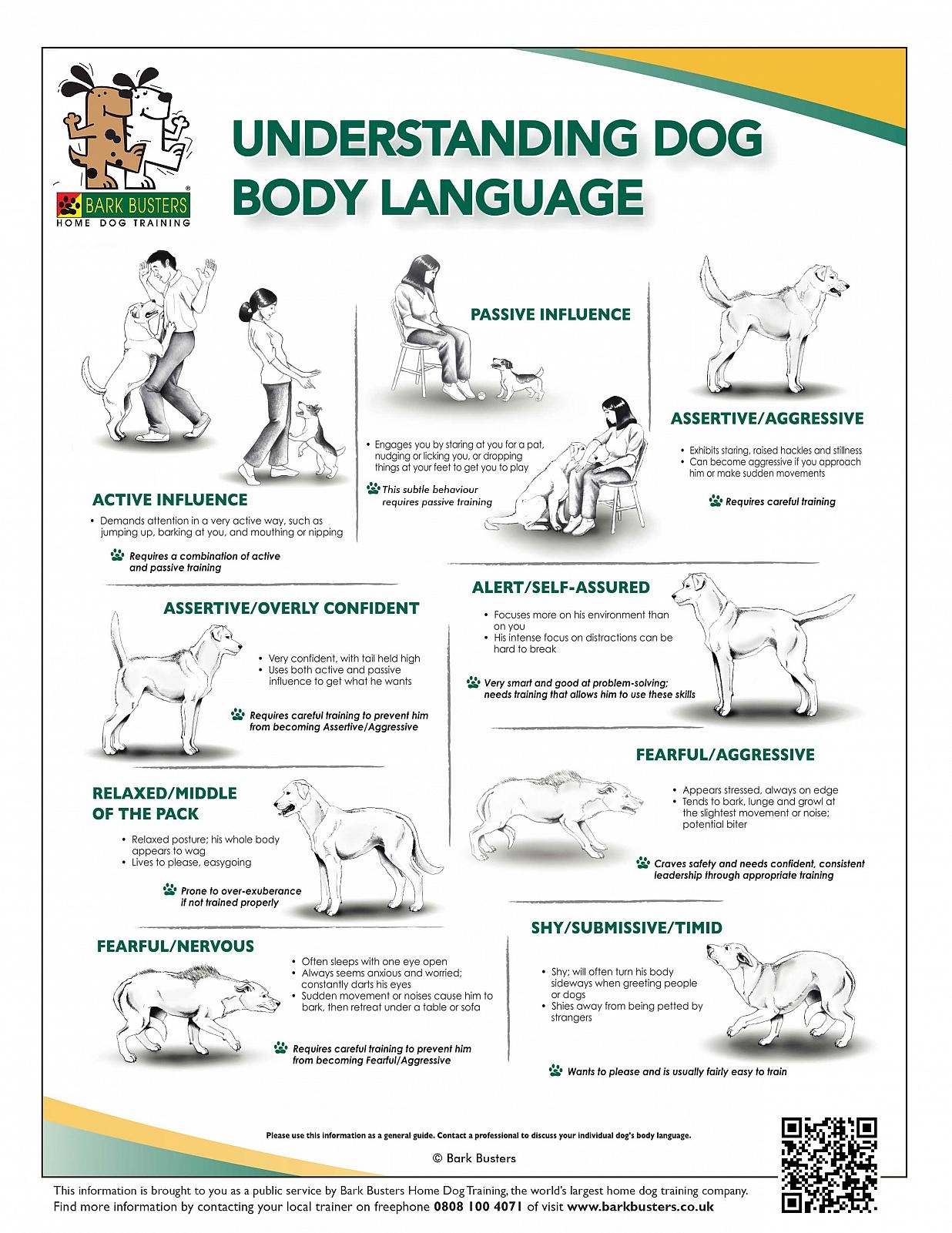 Dog Training Tips Understanding Dog Body Language Dog Training Tips Understanding Dog Body Language