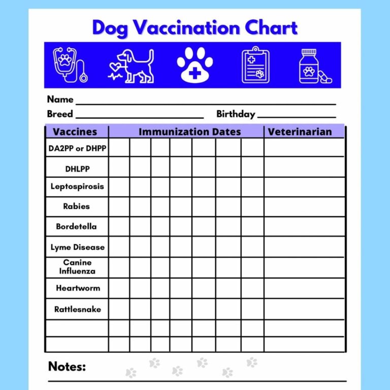 Dog Vaccine Printable Pet Printable Immunization Puppy Vaccinations Dog Health Digital Download Instant Download PDF Etsy Denmark