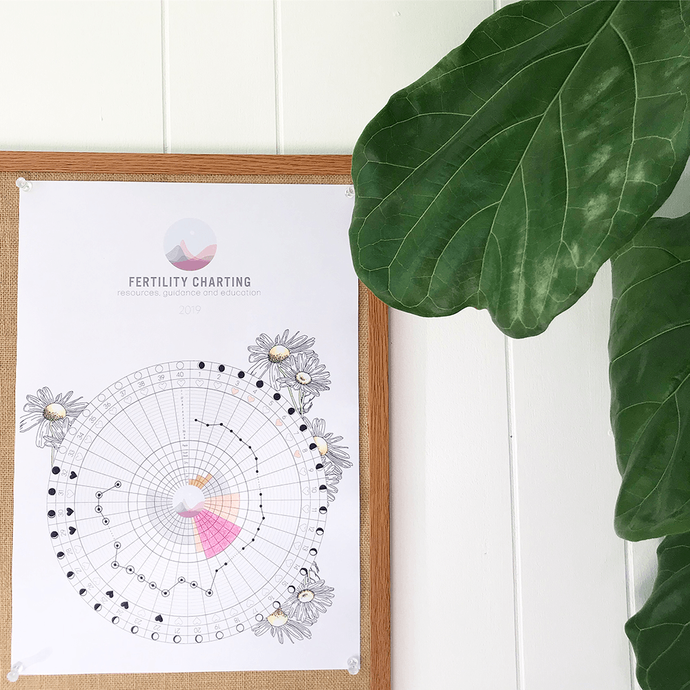 Downloadable FAM Paper Charts Downloadable FAM Paper Charts