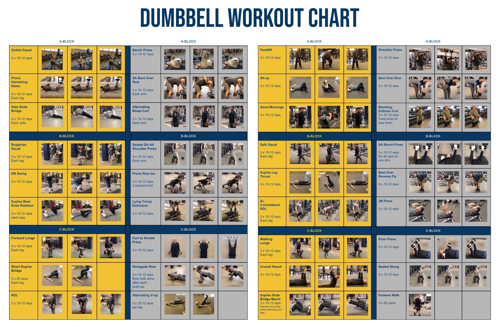 Printable Dumbell Workout Graphic Chart
