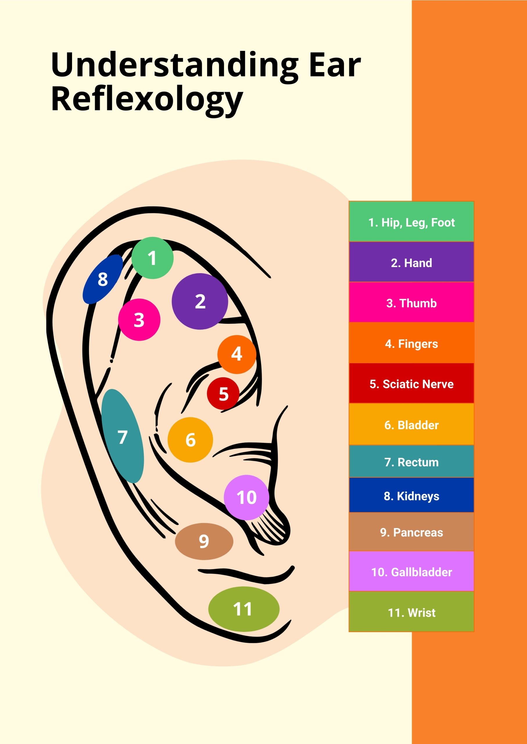 Ear Reflexology Chart In Illustrator PDF Download Template