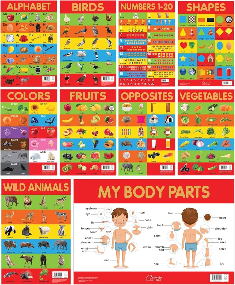 Early Learning Educational Charts For Kids Pack Of Ten Charts Perfect For Homeschooling Kindergarten And Nursery Students 11 5 Inches X 17 5 Fruits Vegetables Opposites My Body Parts Wonder House Books 9789389178012 Amazon Books