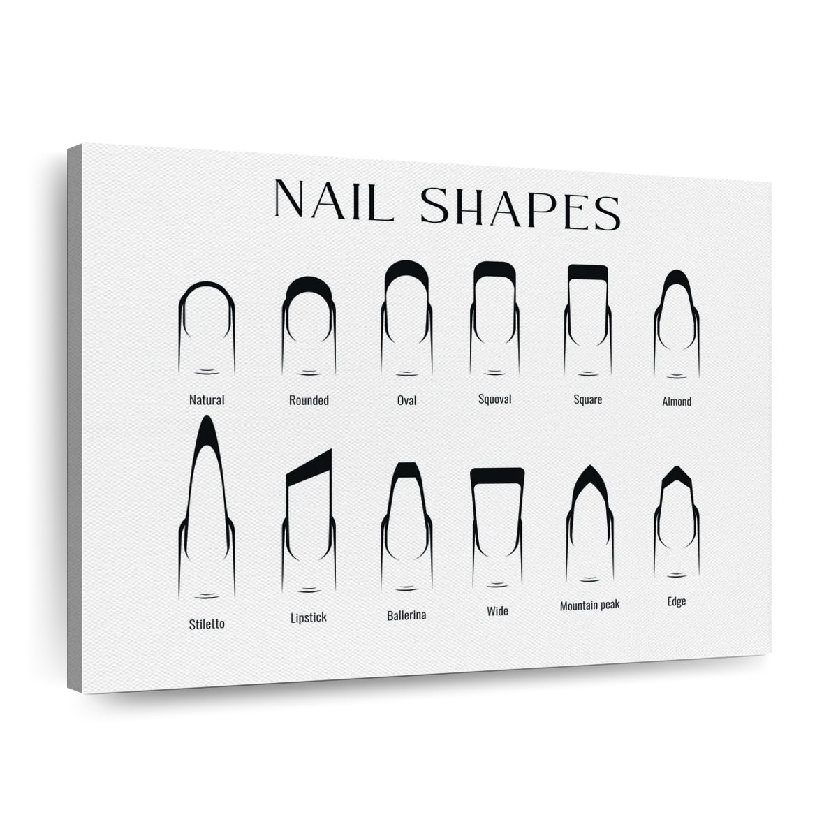 Ebern Designs Nail Shapes Chart Wayfair Ebern Designs Nail Shapes Chart Wayfair
