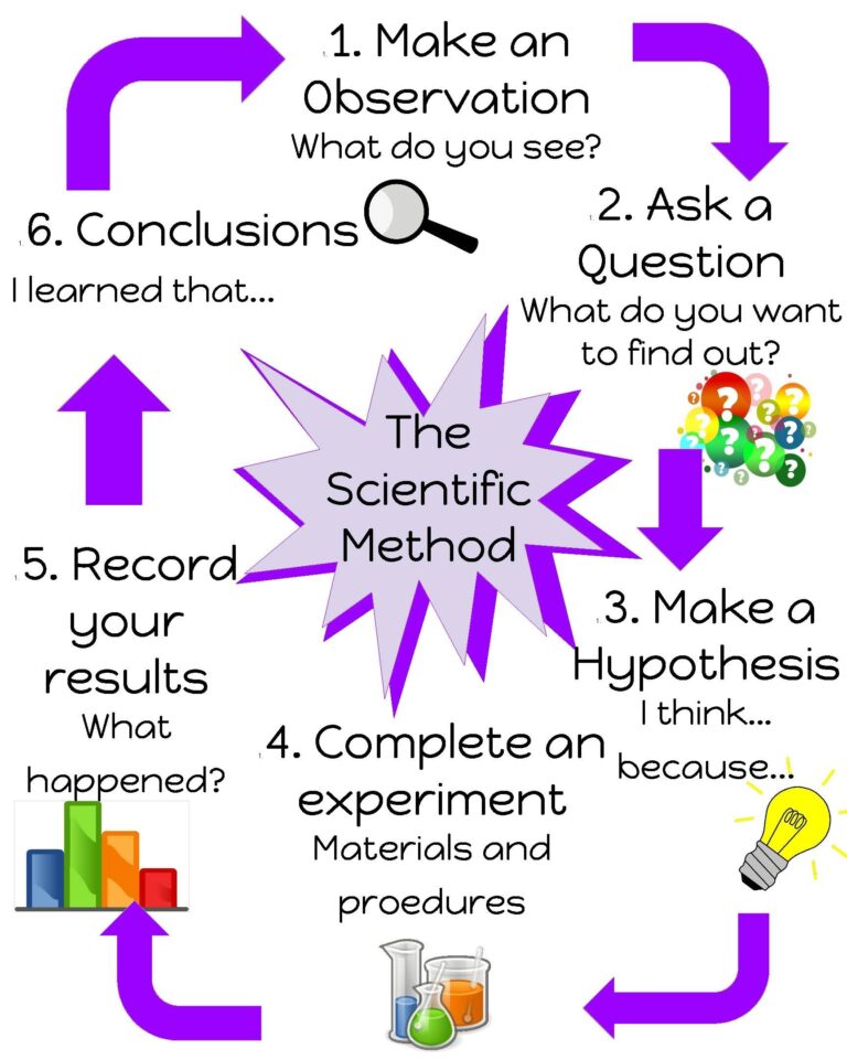 Elementary Science Anchor Chart Scientific Method By Wightman s Anchor Charts