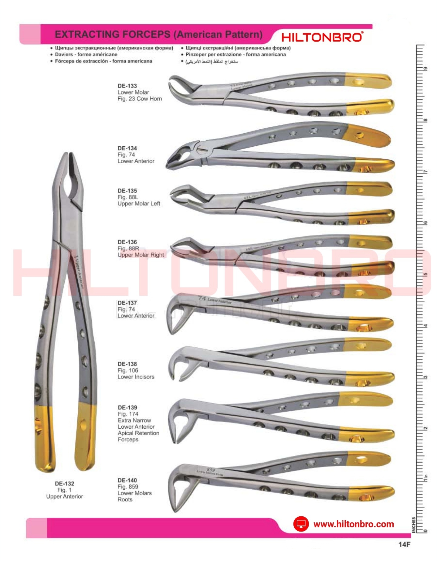 Extracting Forceps HILTONBRO
