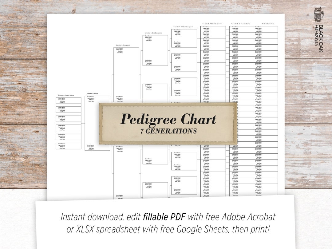 Family Tree Pedigree Chart 7 Generations Digital Printable Fillable PDF And XLSX Spreadsheet Family Tree Template Download Worksheet Etsy