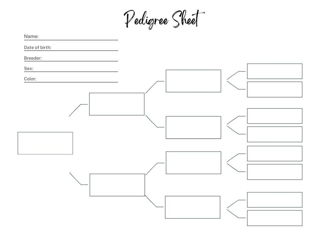 FILLABLE Pedigree Sheet Farm Planner Insert Tracks Names Breed And Pedigree Etsy FILLABLE Pedigree Sheet Farm Planner Insert Tracks Names Breed And Pedigree Etsy