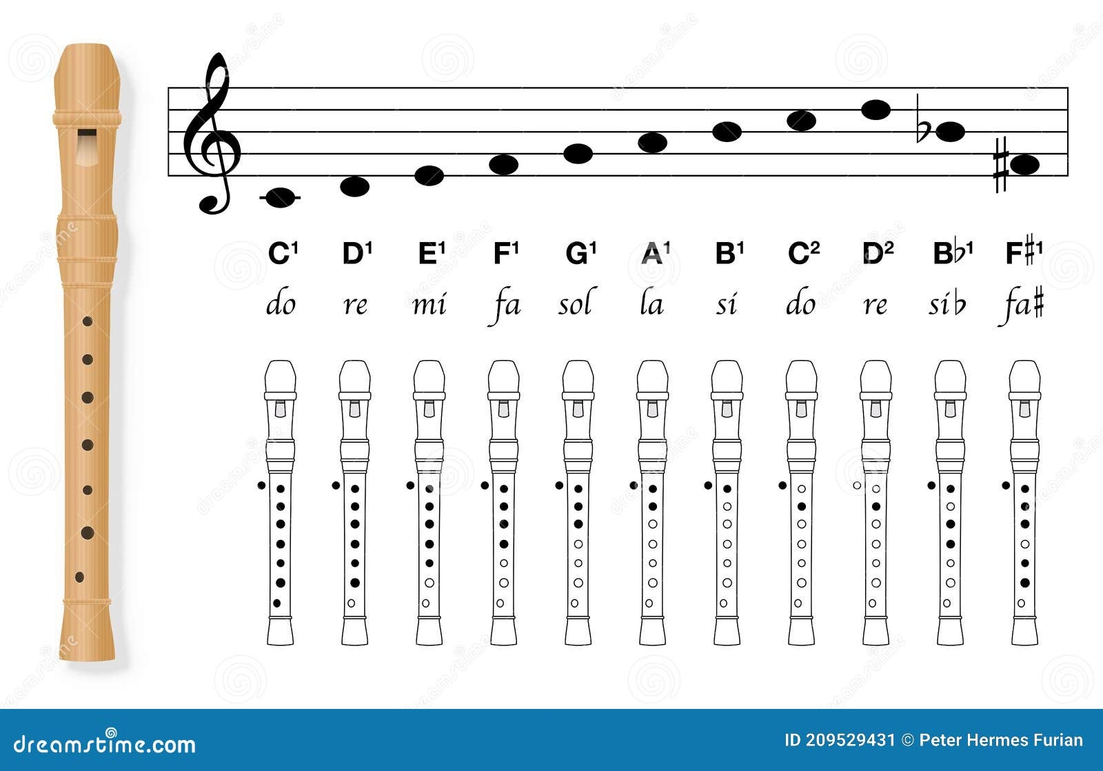 Fingering Chart Recorder Basic Covered Holes Tuned In C Music Chart Stock Vector Illustration Of Learning Instrument 209529431 Fingering Chart Recorder Basic Covered Holes Tuned In C Music Chart Stock Vector Illustration Of Learning Instrument 209529431
