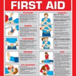 First Aid Chart At 118 00 INR At Best Price In Noida Uttar Pradesh Ar Industries