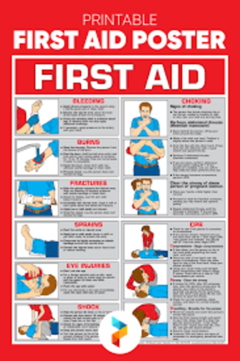 First Aid Chart At 118 00 INR At Best Price In Noida Uttar Pradesh Ar Industries