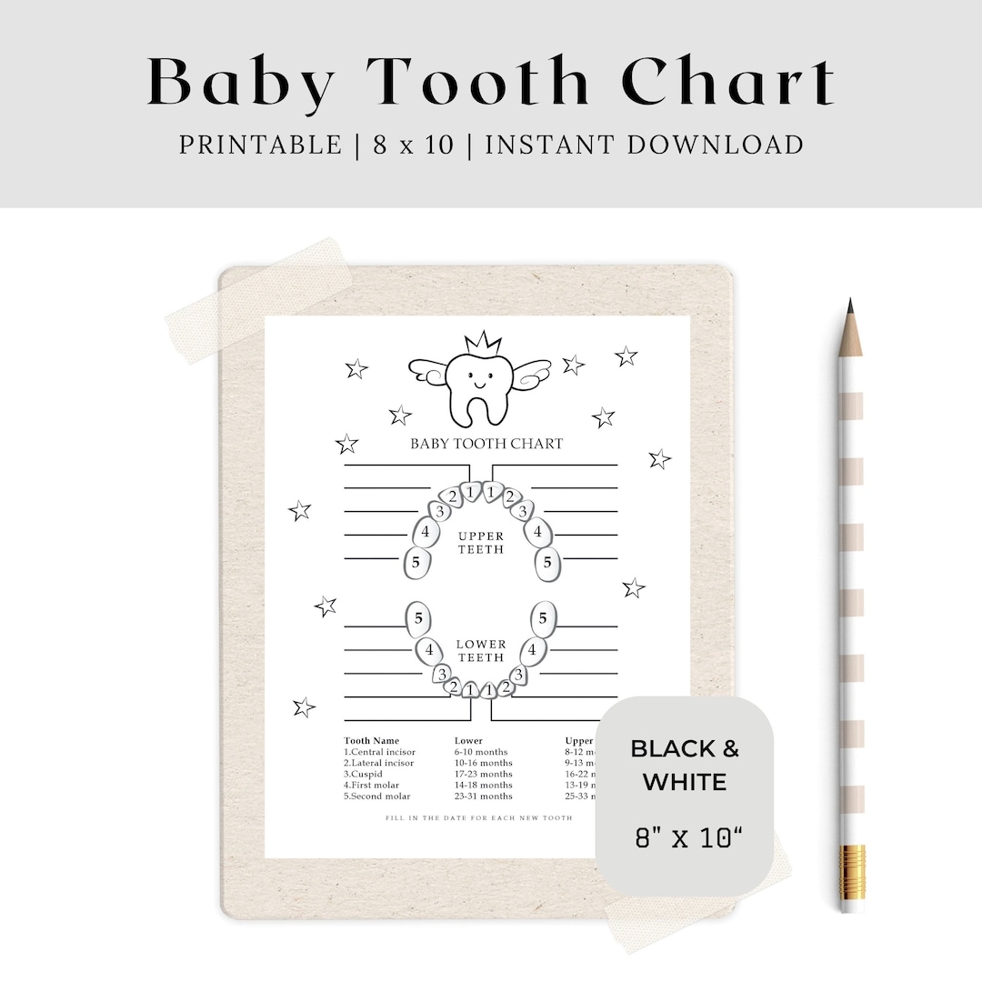 First Tooth Eruption Teething Month Old Baby Tooth Chart 14 Month Old Teething Baby Teeth Xray Tooth Eruption First Tooth Eruption Teething Month Old Baby Tooth Chart 14 Month Old Teething Baby Teeth Xray Tooth Eruption