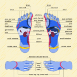 Foot Reflexology Chart Pressure Points Benefits Guide