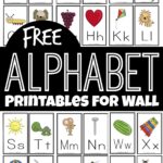 FREE Alphabet Flashcards And Printables For Wall