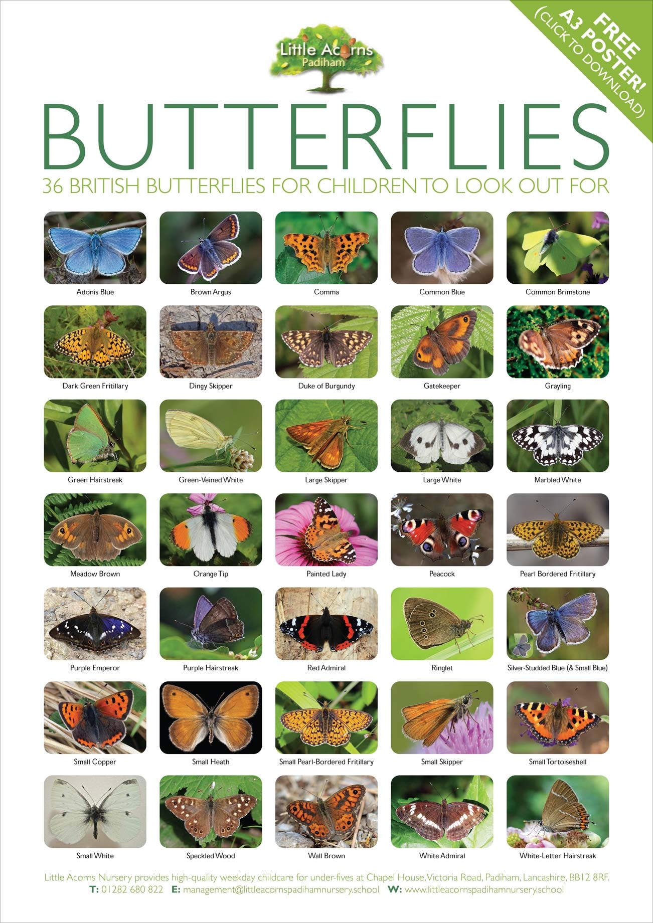 FREE Butterfly Spotting Poster Activity For Children Under 5s FREE Butterfly Spotting Poster Activity For Children Under 5s