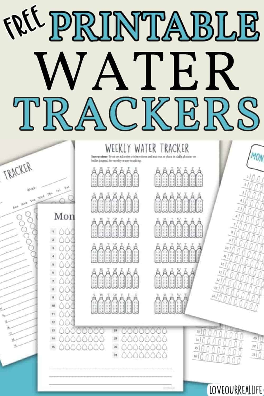 Water Intake Chart Printable