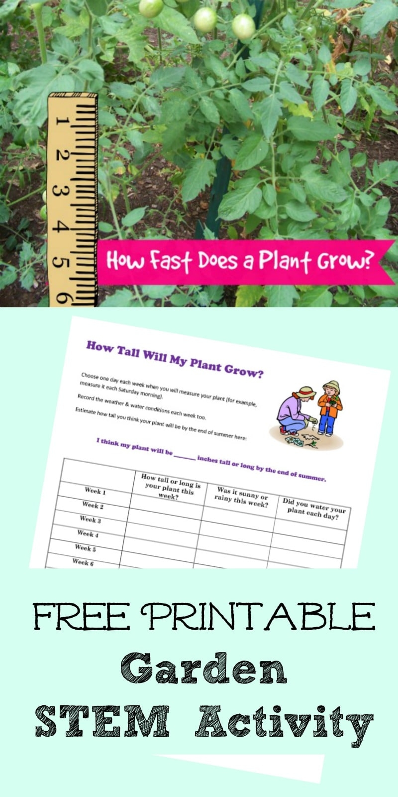 Free Plant Growth STEM Activity