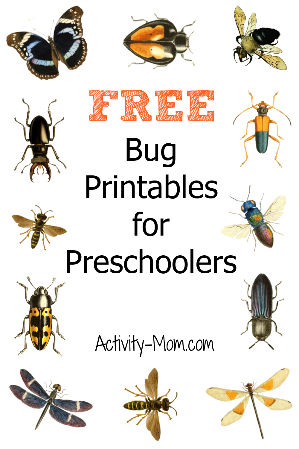 Free Preschool Insect Theme Printables And Activities The Activity Mom