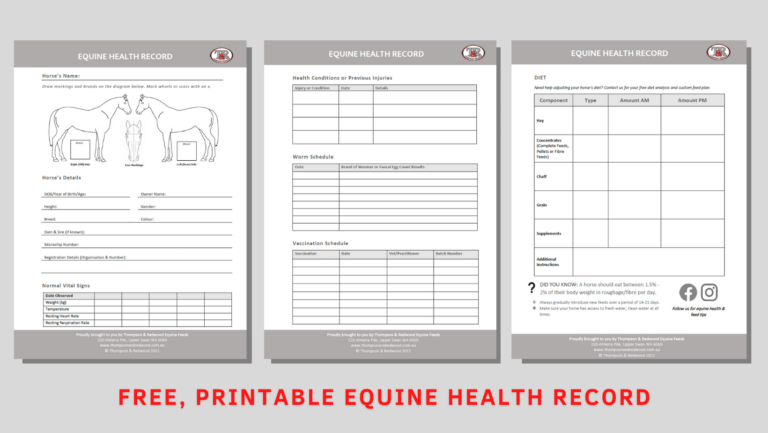 FREE PRINTABLE EQUINE HEALTH RECORD Thompson And Redwood