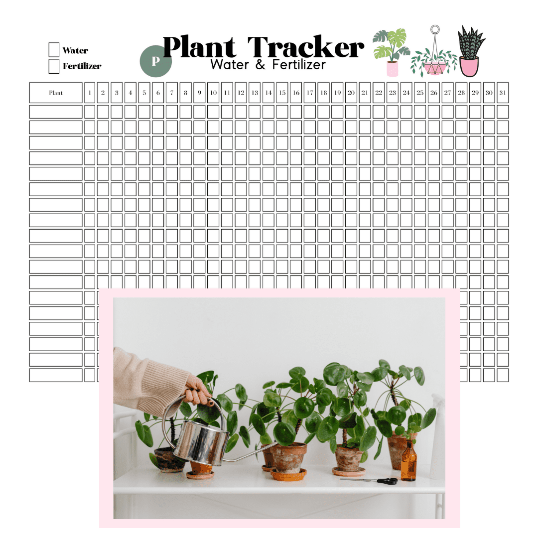 Free Printable Plant Watering Tracker Paisley Plants