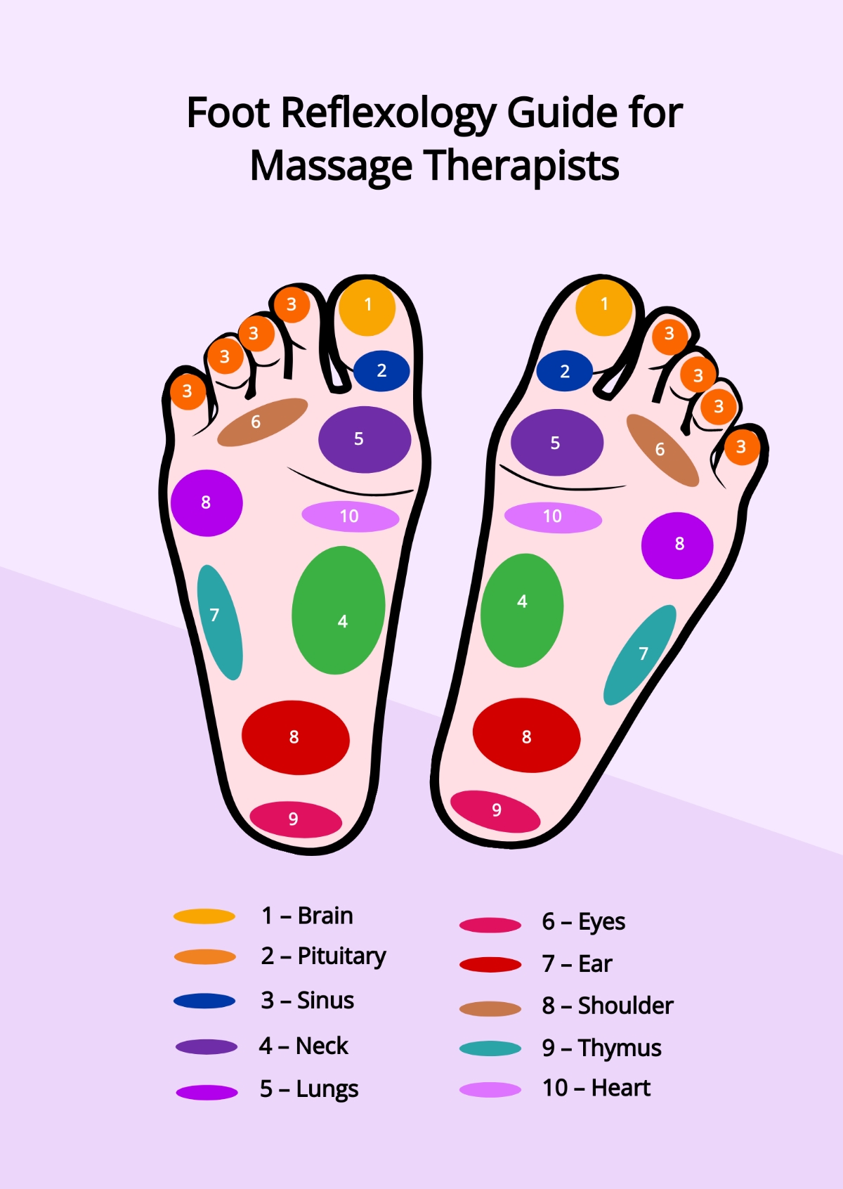 Free Reflexology Chart Templates Editable And Printable Free Reflexology Chart Templates Editable And Printable