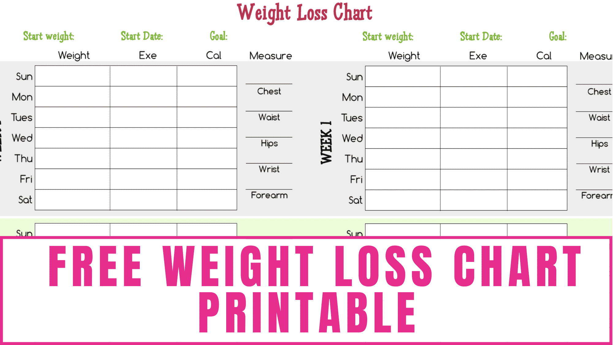 Printable Weight Tracker Chart