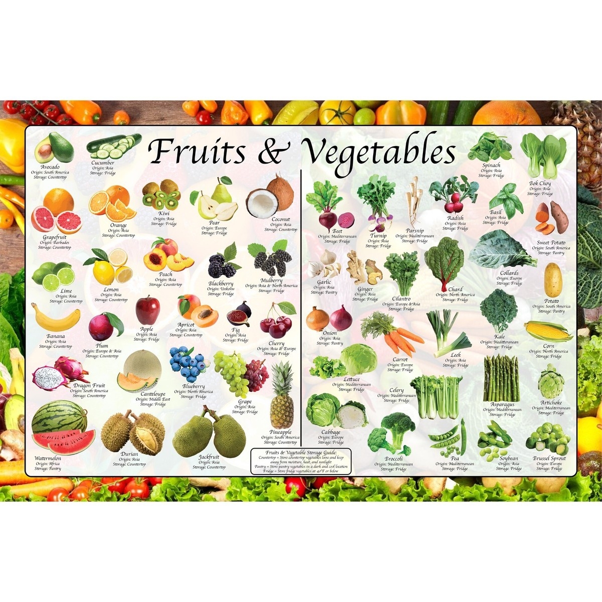 Fruits Vegetables Identification And Storage Poster Culinary Arts Poster EBay