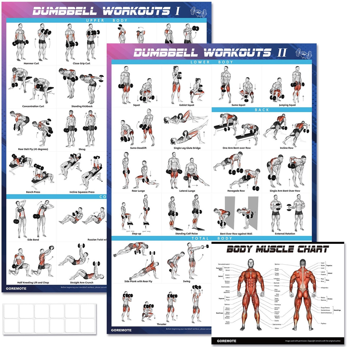 Full Body Weight Planet Fitness At Home Workouts Weight Training Poster Full Body Workout Chart