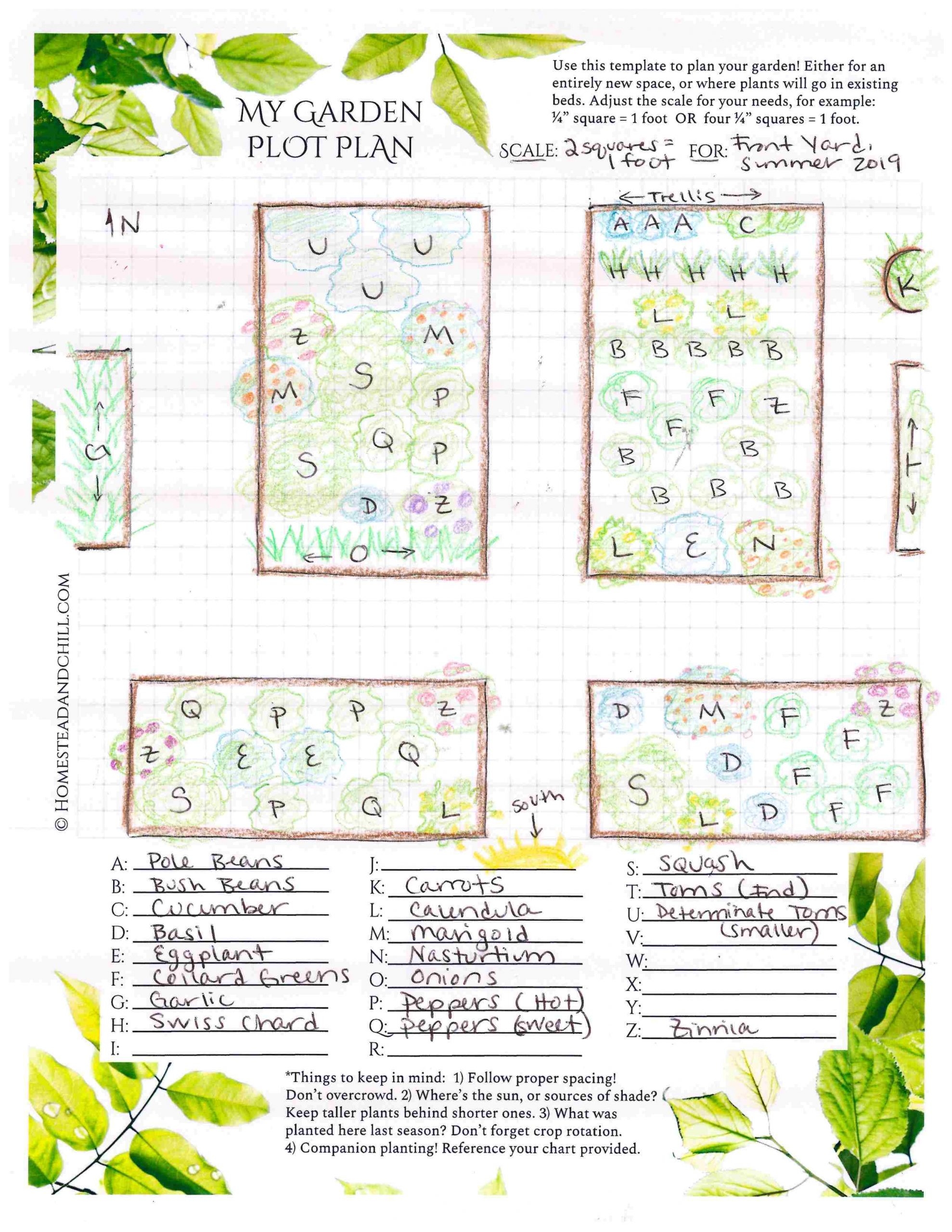 Vegetable Garden Printable Companion Planting Chart