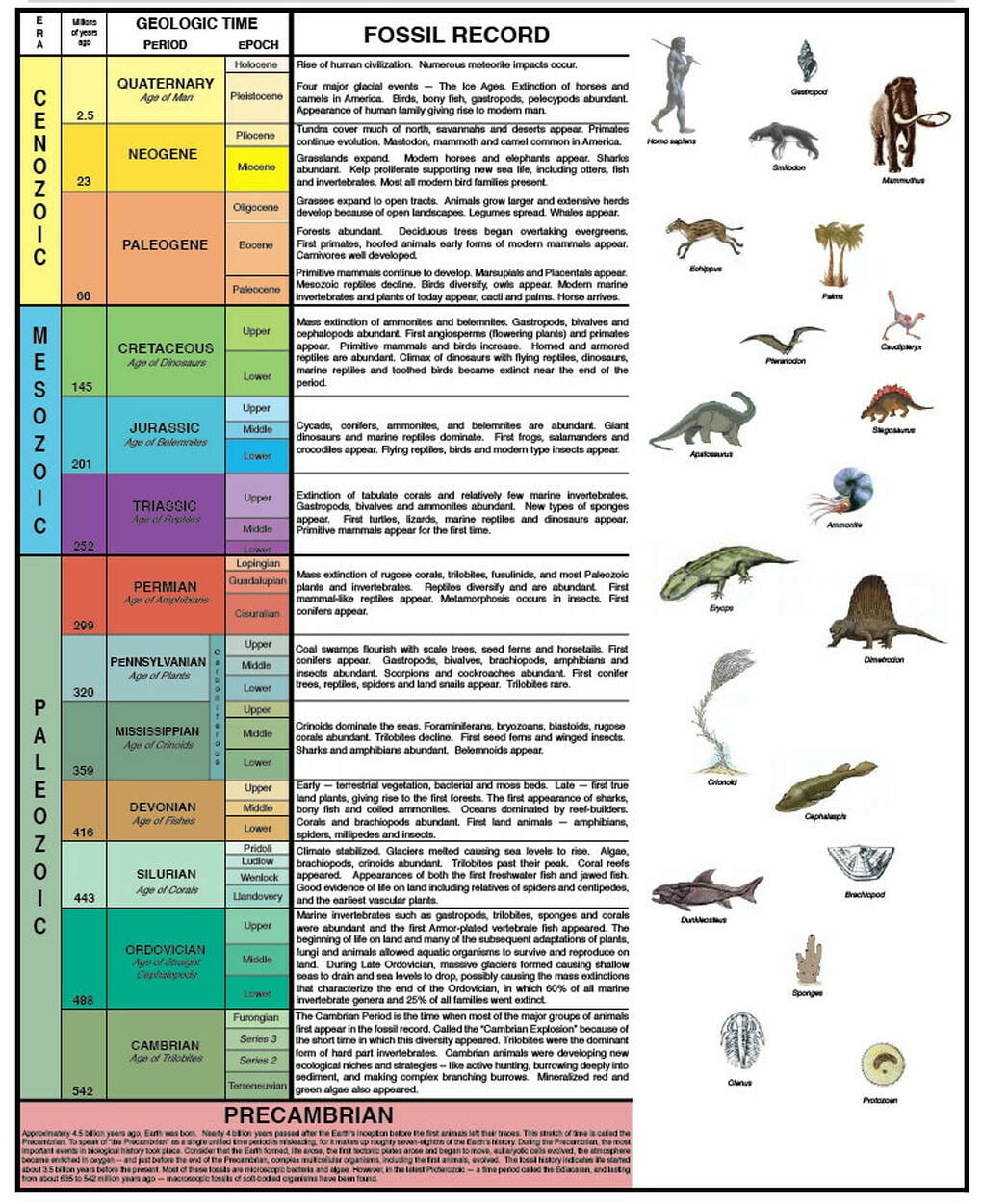 Geologic Time Scale 8TH GRADE SCIENCE